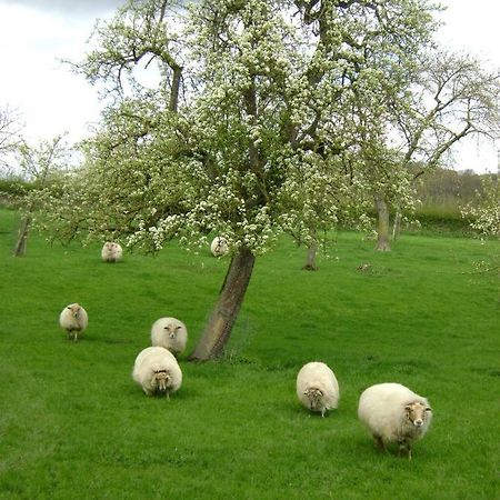 Hoeve Schevey Mechelen Exteriér fotografie