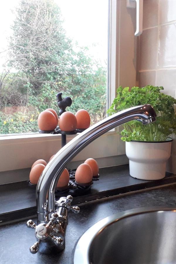Hoeve Schevey Mechelen Exteriér fotografie