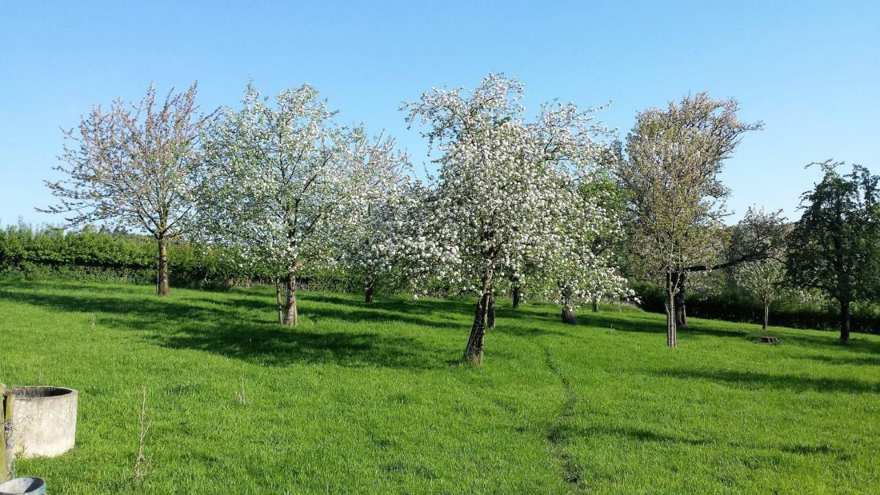 Hoeve Schevey Mechelen Exteriér fotografie